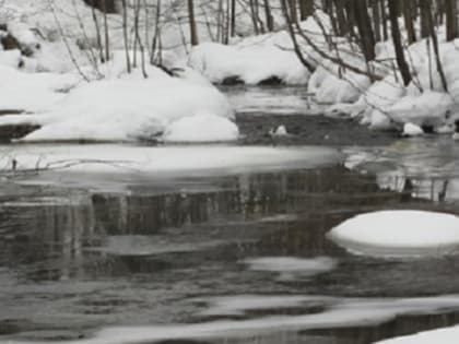 Водолазы искали пропавшего 10-летнего нижегородского мальчика 24 февраля