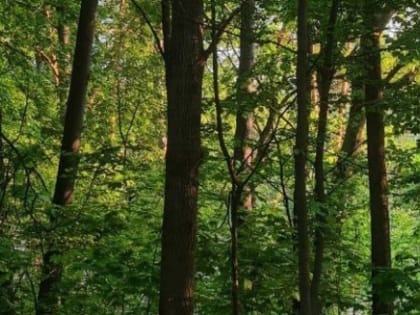 Нижегородцам напоминают о пожарной безопасности в условиях высокой пожароопасности
