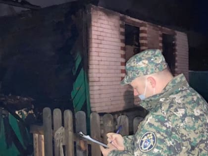 Нижегородку осудят за пожар, в котором погибли ее маленькие дети