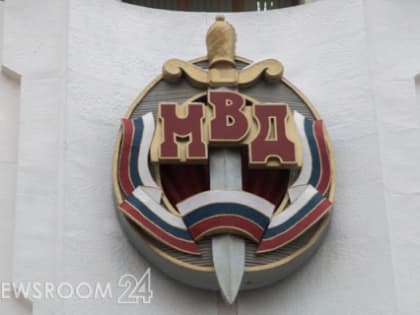 Полиция проверяет видео с избиением чужого ребенка нижегородкой