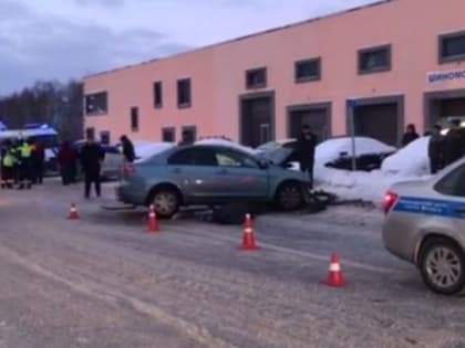 Два человека погибли в ДТП в Арзамасском районе