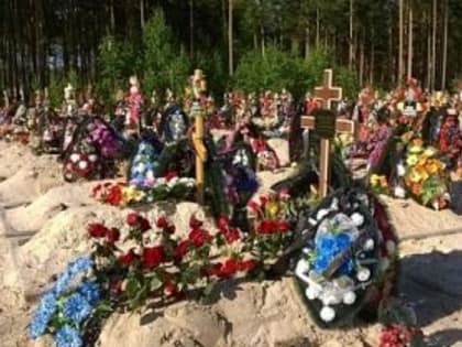 Кладбище может появиться на месте Шуваловской свалки