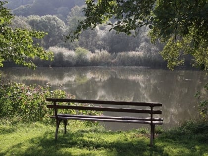 Воду на Боровом признали соответствующей нормам