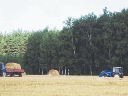 Погода — погодой, да сам не плошай!