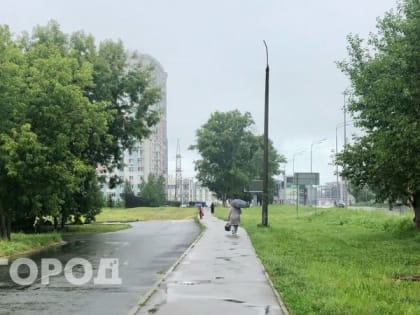 В последний рабочий день недели в Нижнем Новгороде весь день будет идти дождь