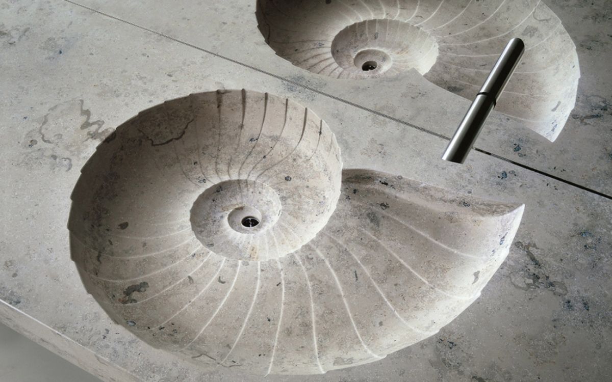 Ammonite fossil designer washbasin