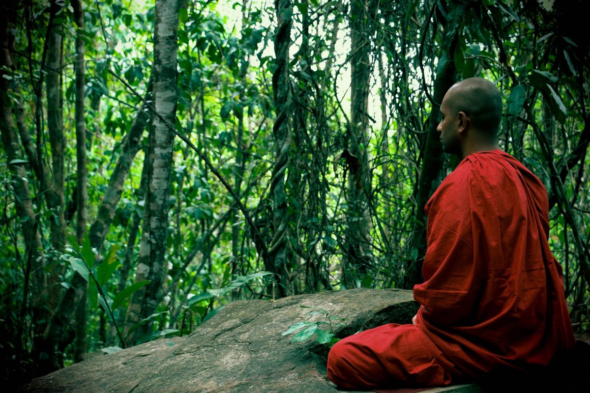 Monk meditating, sitting in the jungle, zen