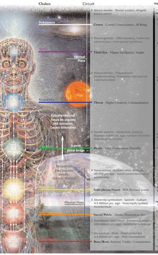 Psychedelics to activate your chakras: MDMA, LSD, Ayahuasca, Psilocybin, DMT