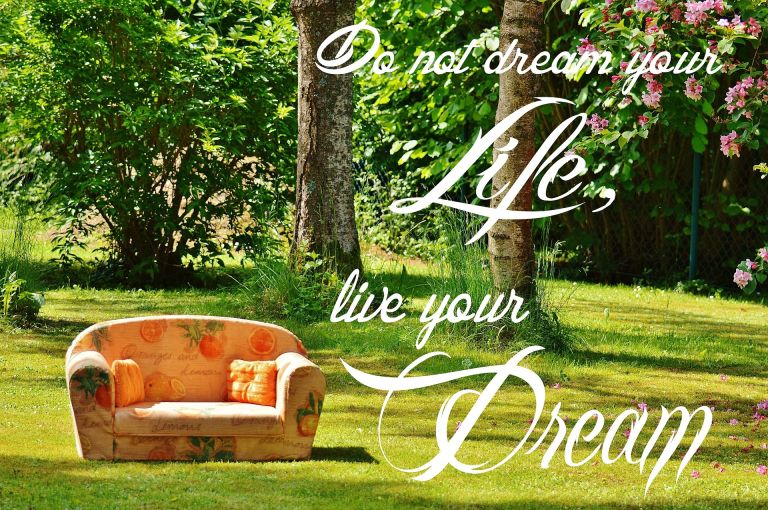 Do not dream your life, live your dream.