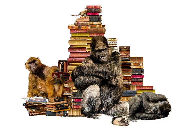 Gorilla and apes in front of books