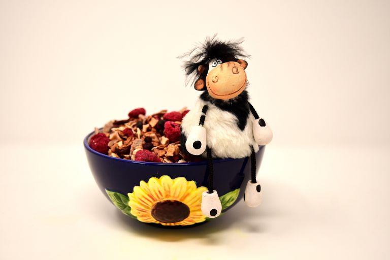 Muesli, müesli, bowl, cereals, cow, figure, funny