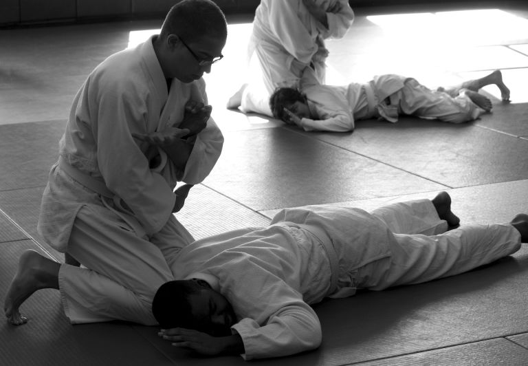 Aikido fighers - martial art