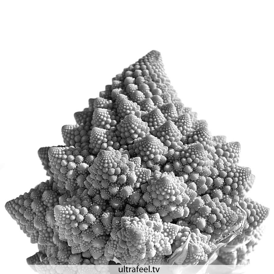 Fractal vegetable: Romanescu (Cauliflower species) (c) Ultrafeel