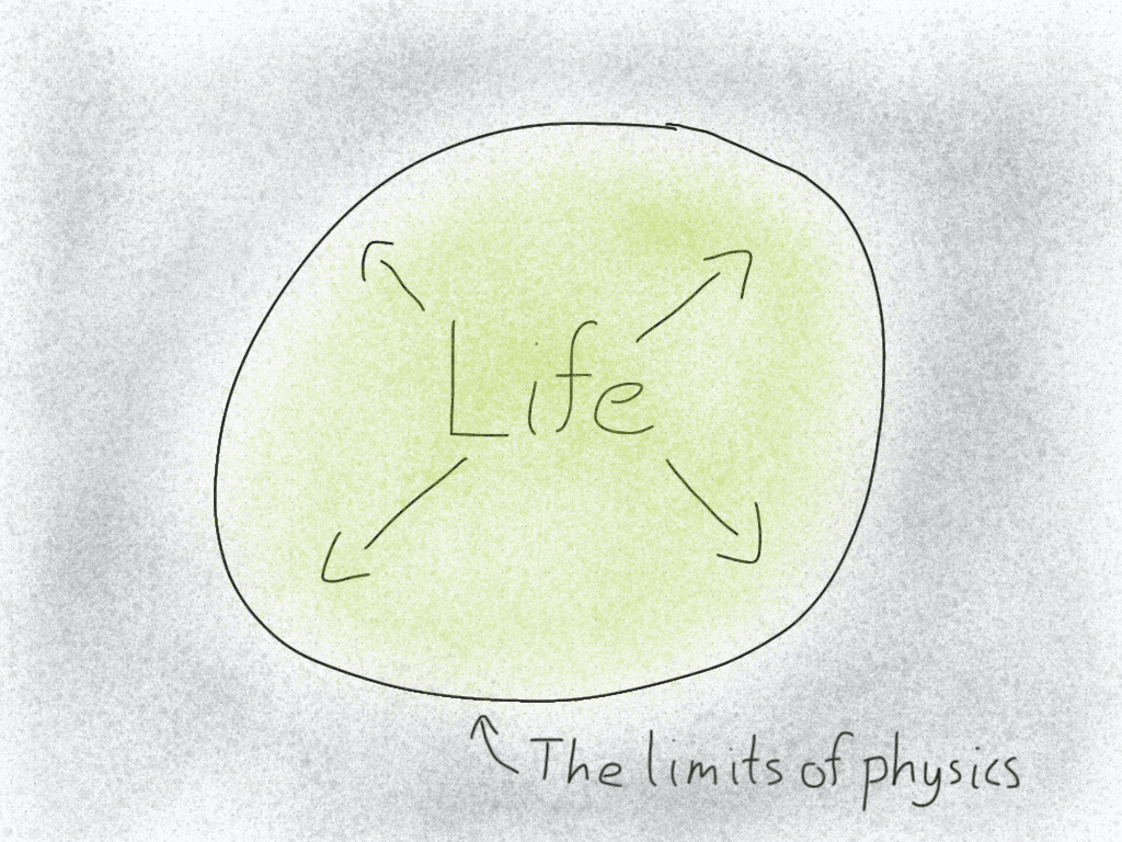 Diagram of the limits of life.