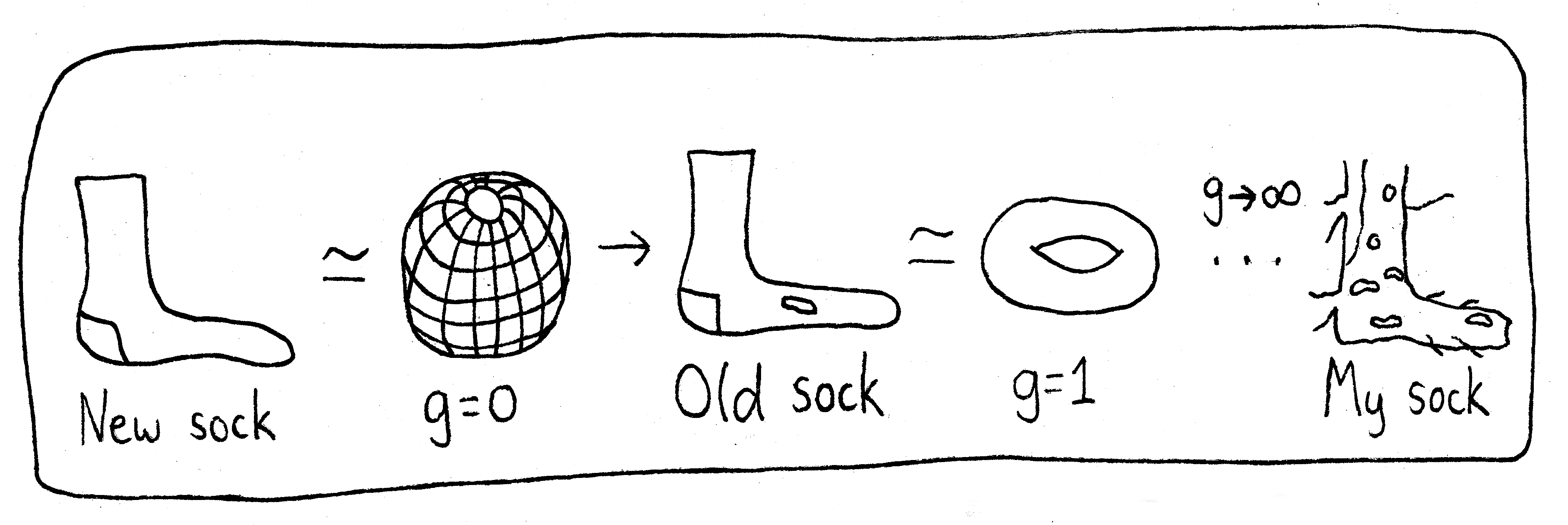 A series of socks and their topological equivalence to standard objects. A new sock has no holes and so has genus zero, like a sphere. A used sock has one hole, so it has the same genus as a torus (genus one). The final sock is my sock, and it's what happens when you take the limit of the genus going to infinity.