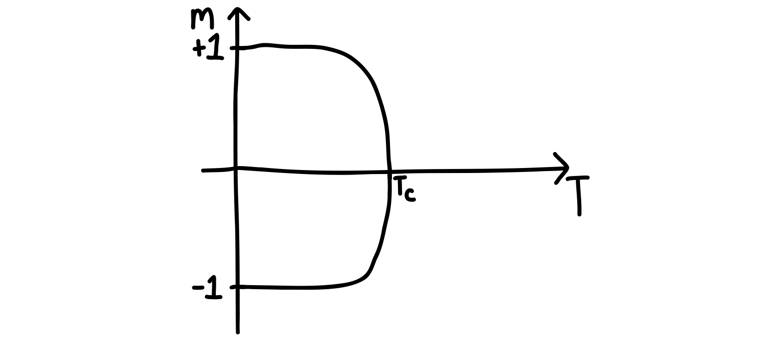 The magnetization of Ising models.