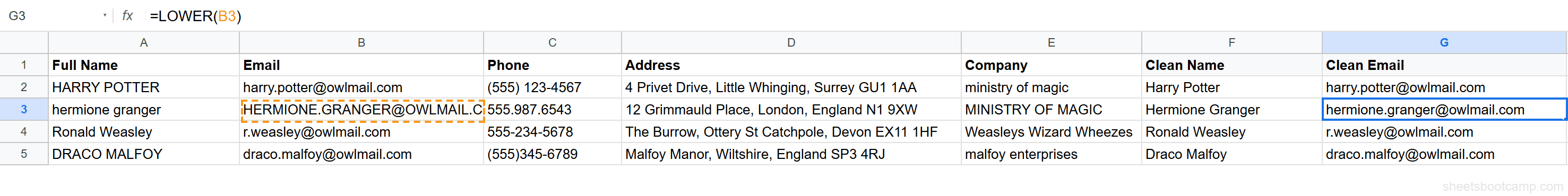 LOWER formula converting mixed-case email addresses to all lowercase for consistency