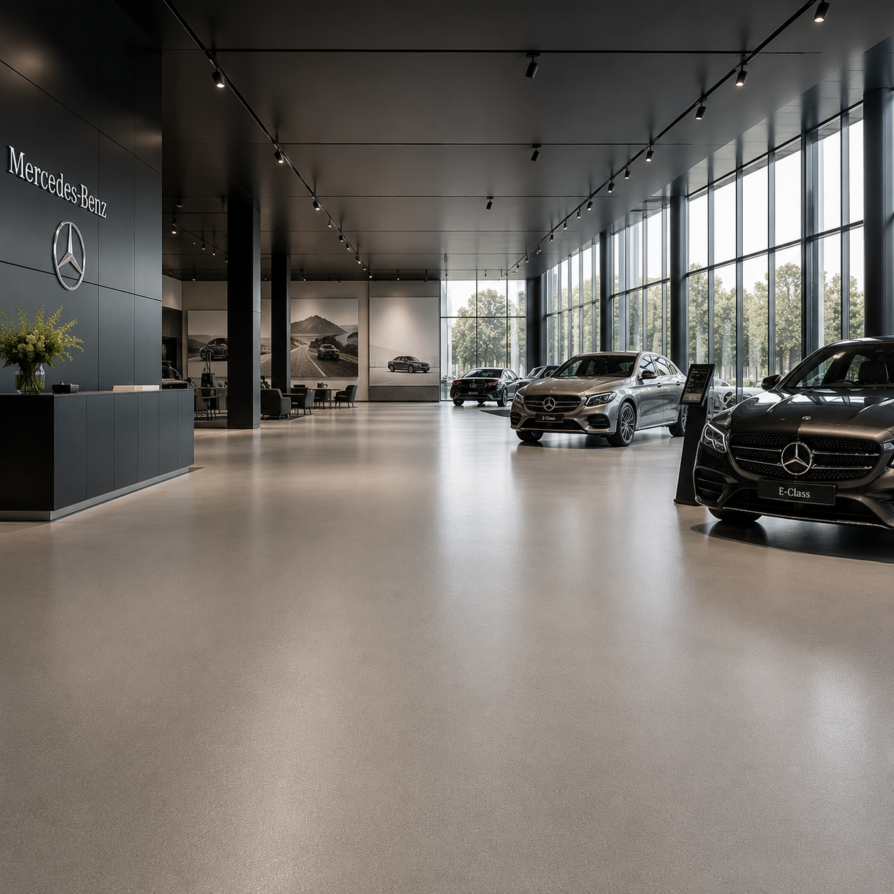 3. Automotive Showrooms & Professional Garages