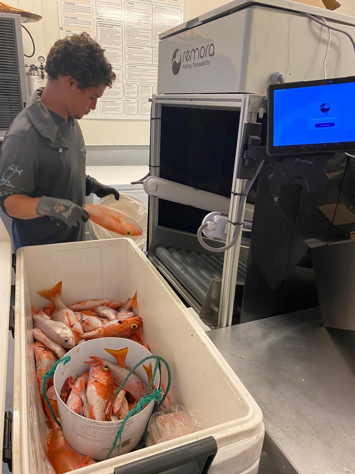 Pescadería