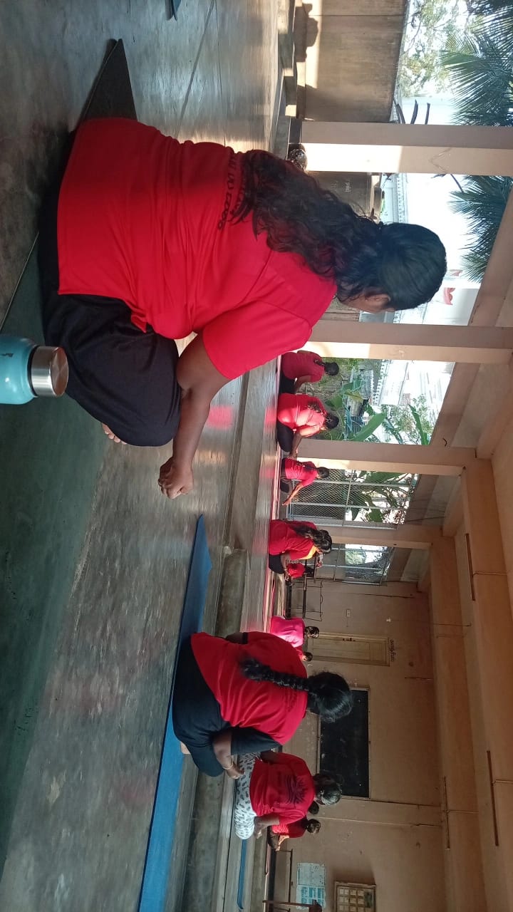 Private 1-on-1 sessions