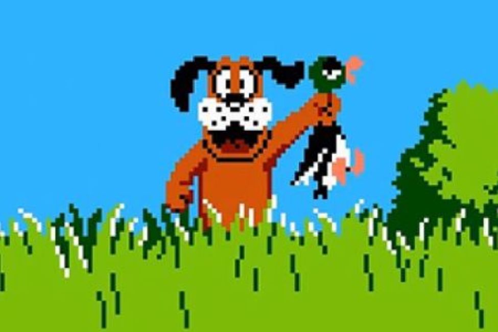 duck hunt preview