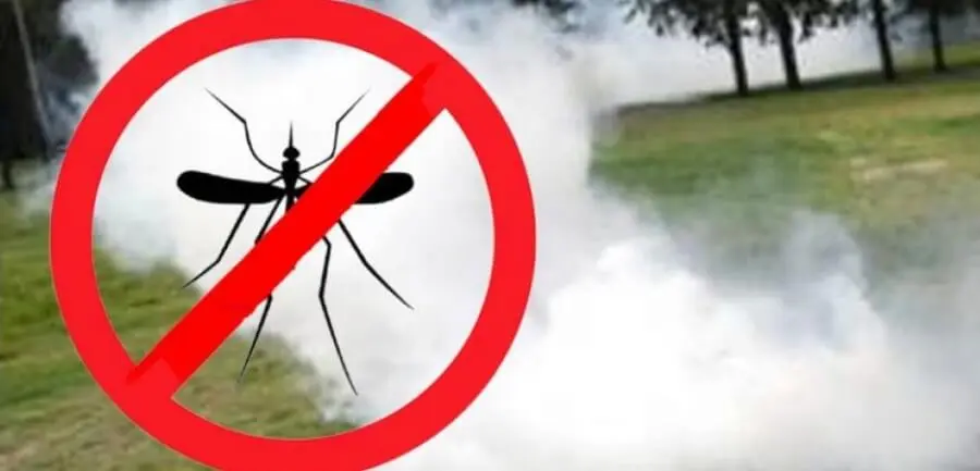 Fumigación por mosquitos