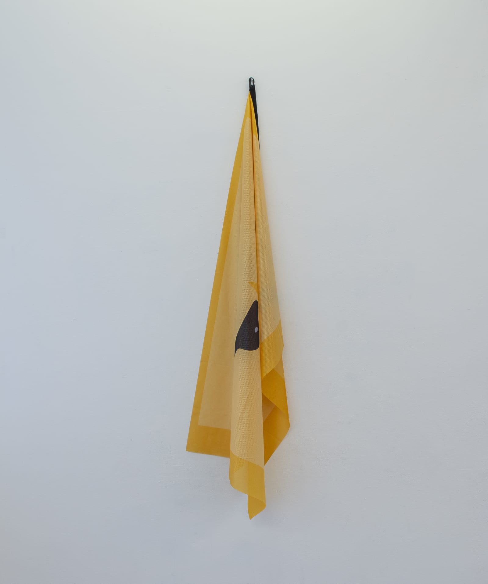 Flag Rant (Ambassade) — Galerie des Tables, 2019