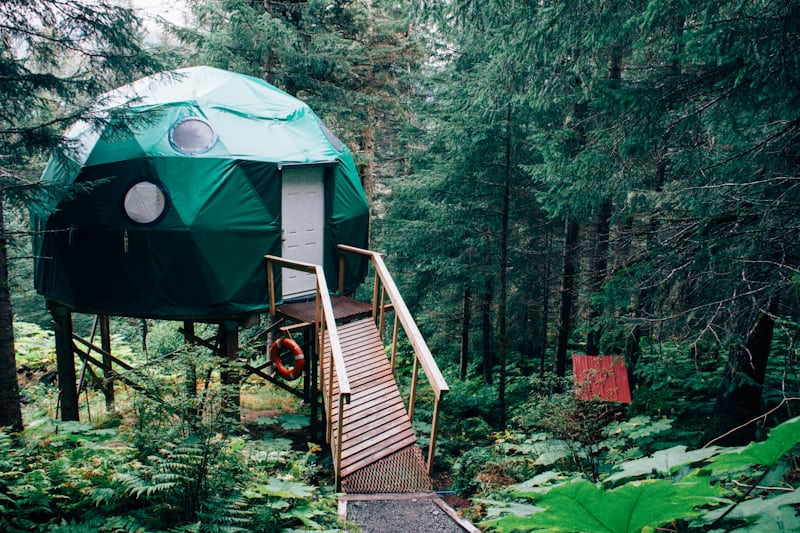 Mountain View Cabin in Banff