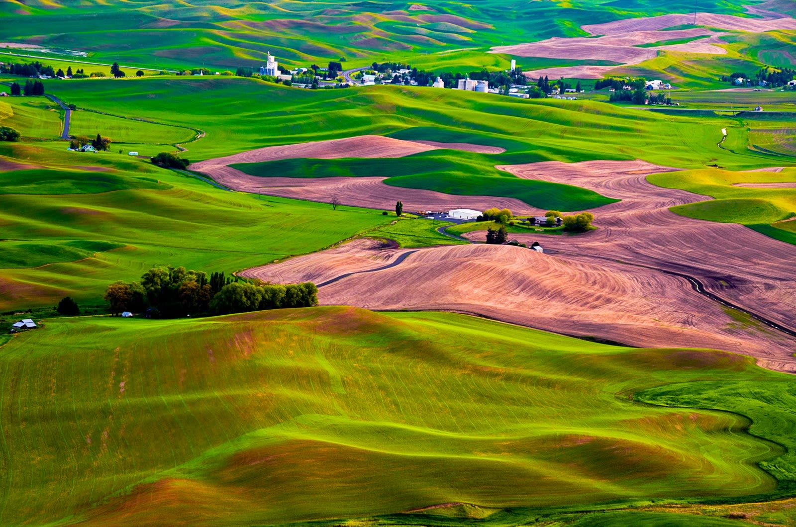 The Palouse, Washington
