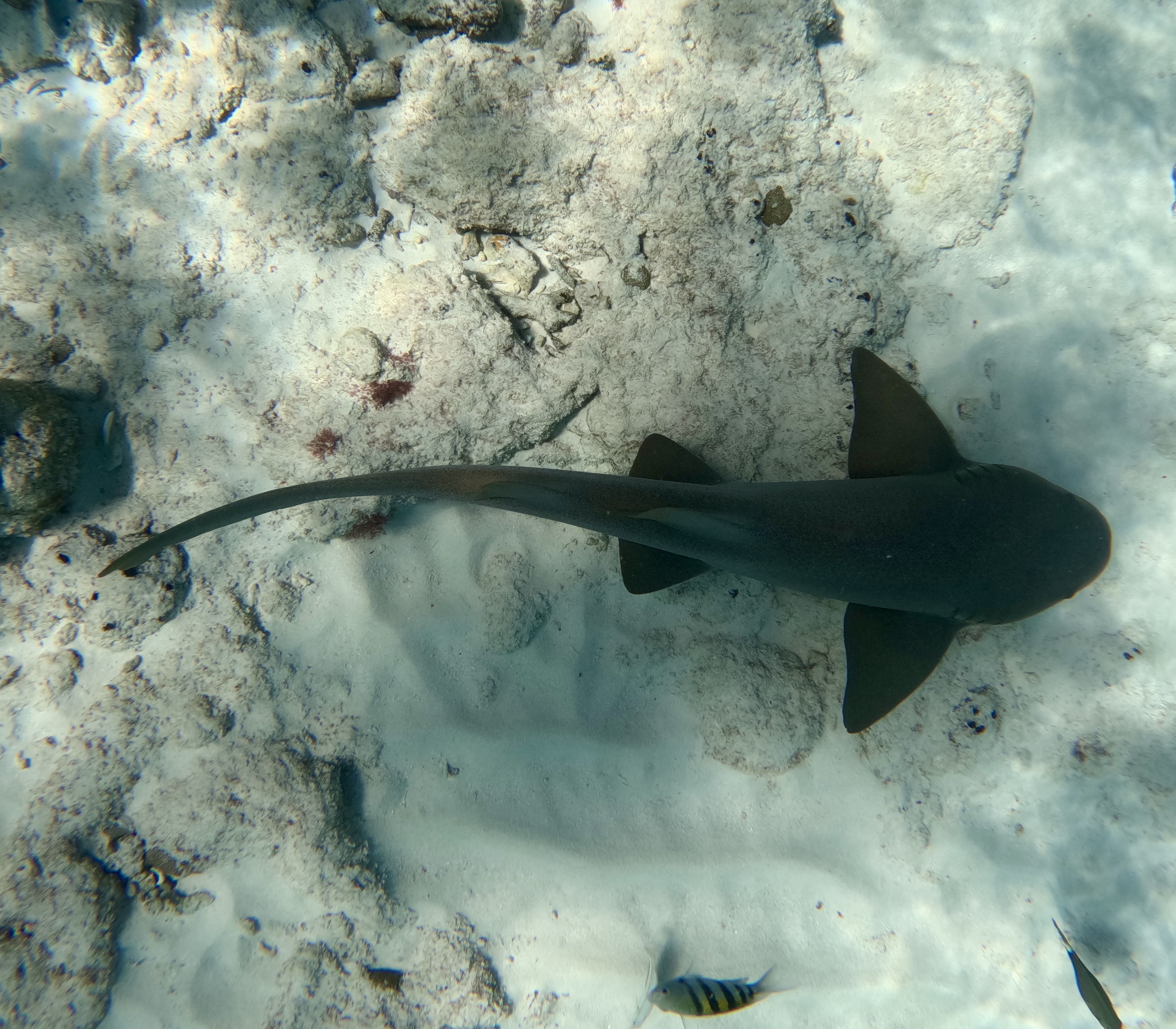 Islamorada — photograph 3