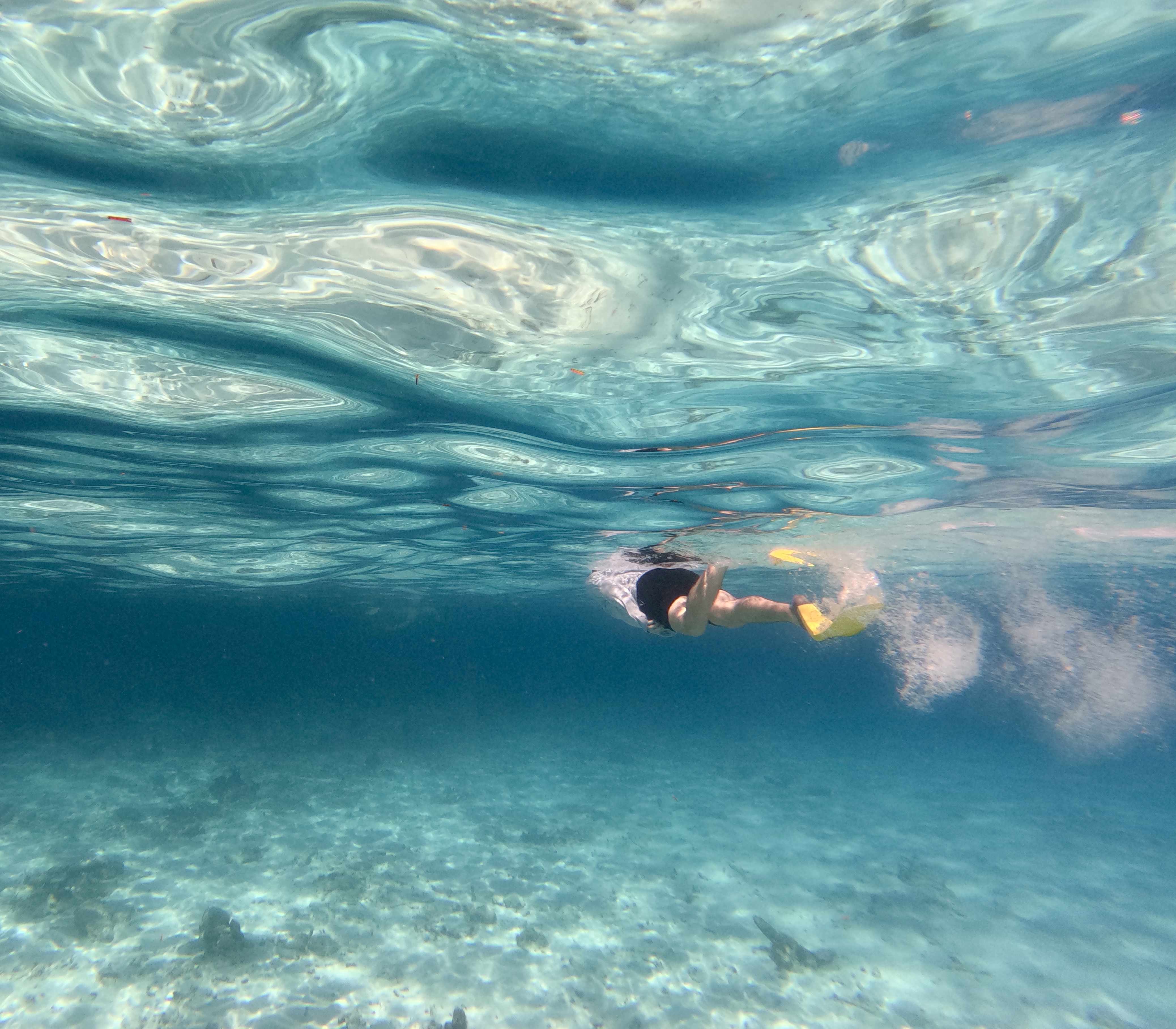 Islamorada — photograph 4