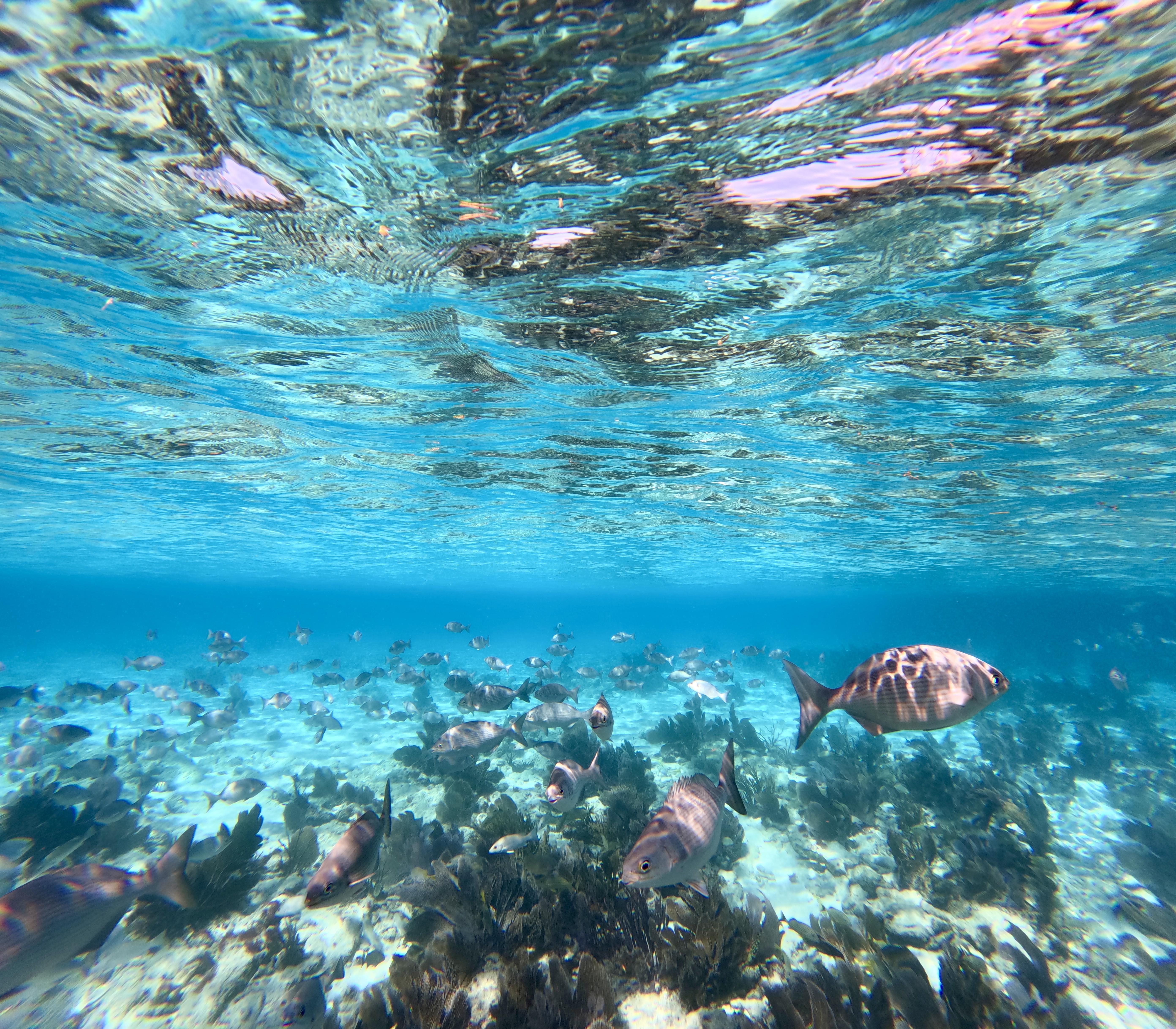 Islamorada — photograph 7 of 7