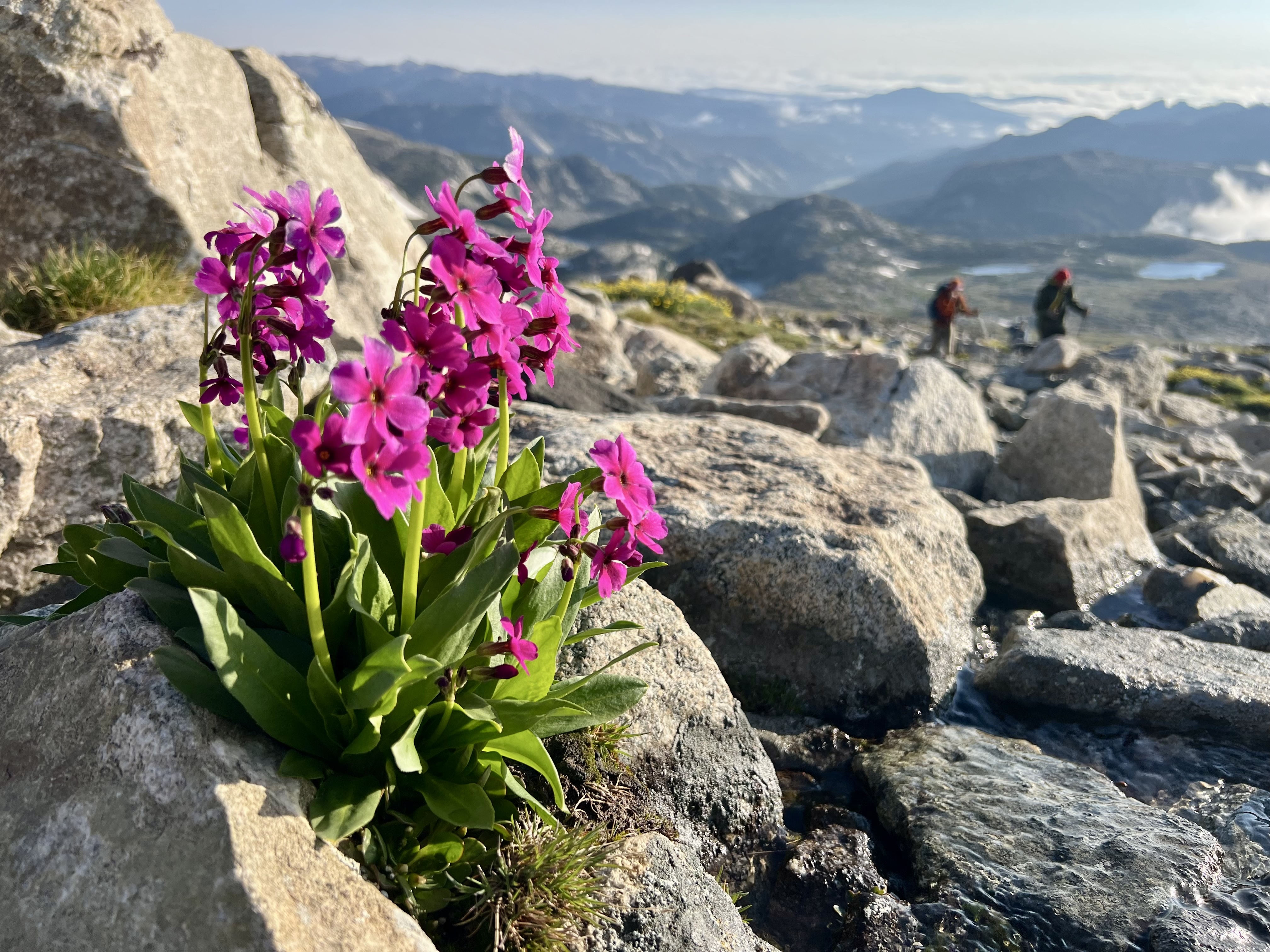 Wind River Wilderness — photograph 5 of 23