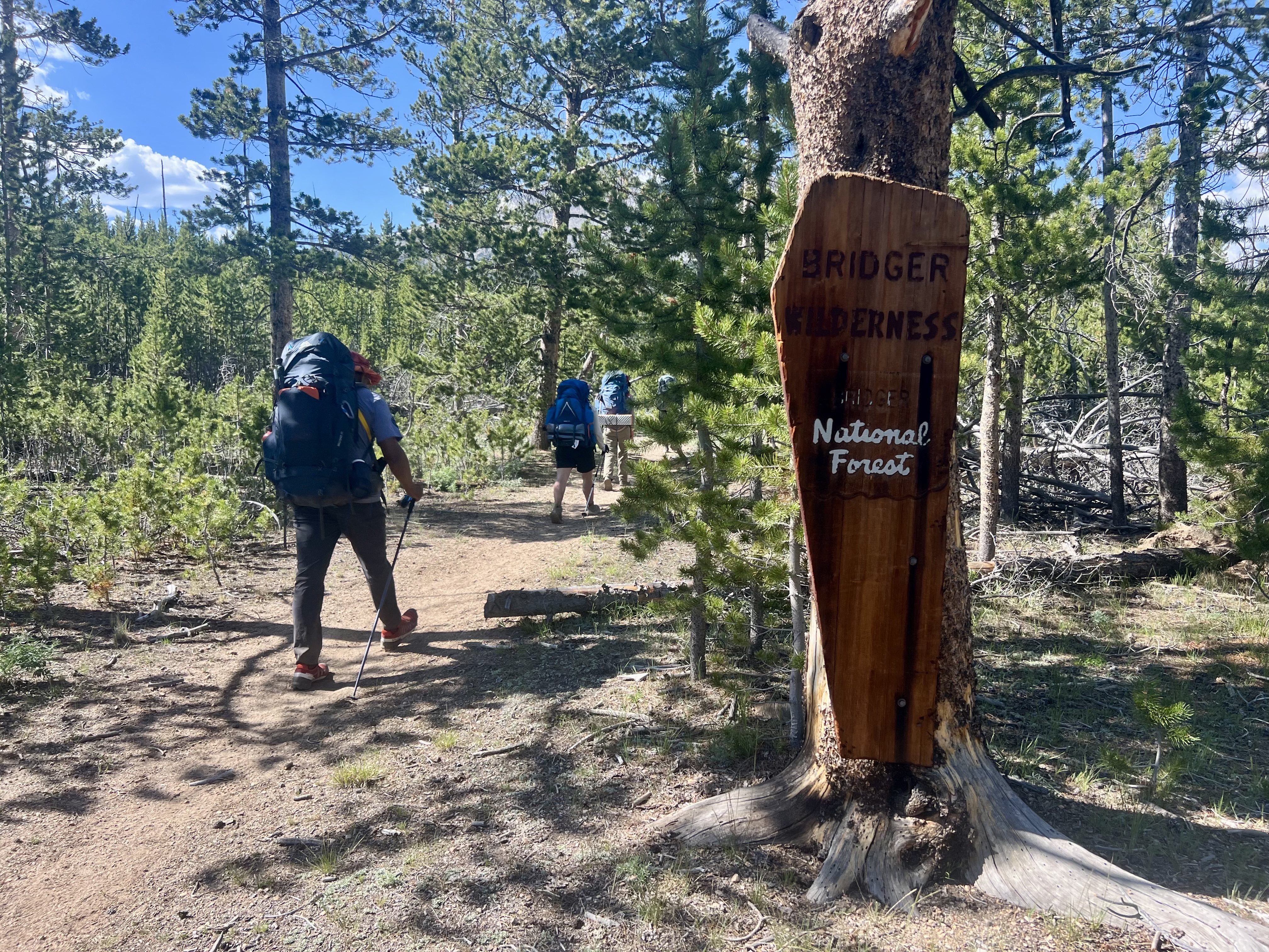 Wind River Wilderness — photograph 19 of 23