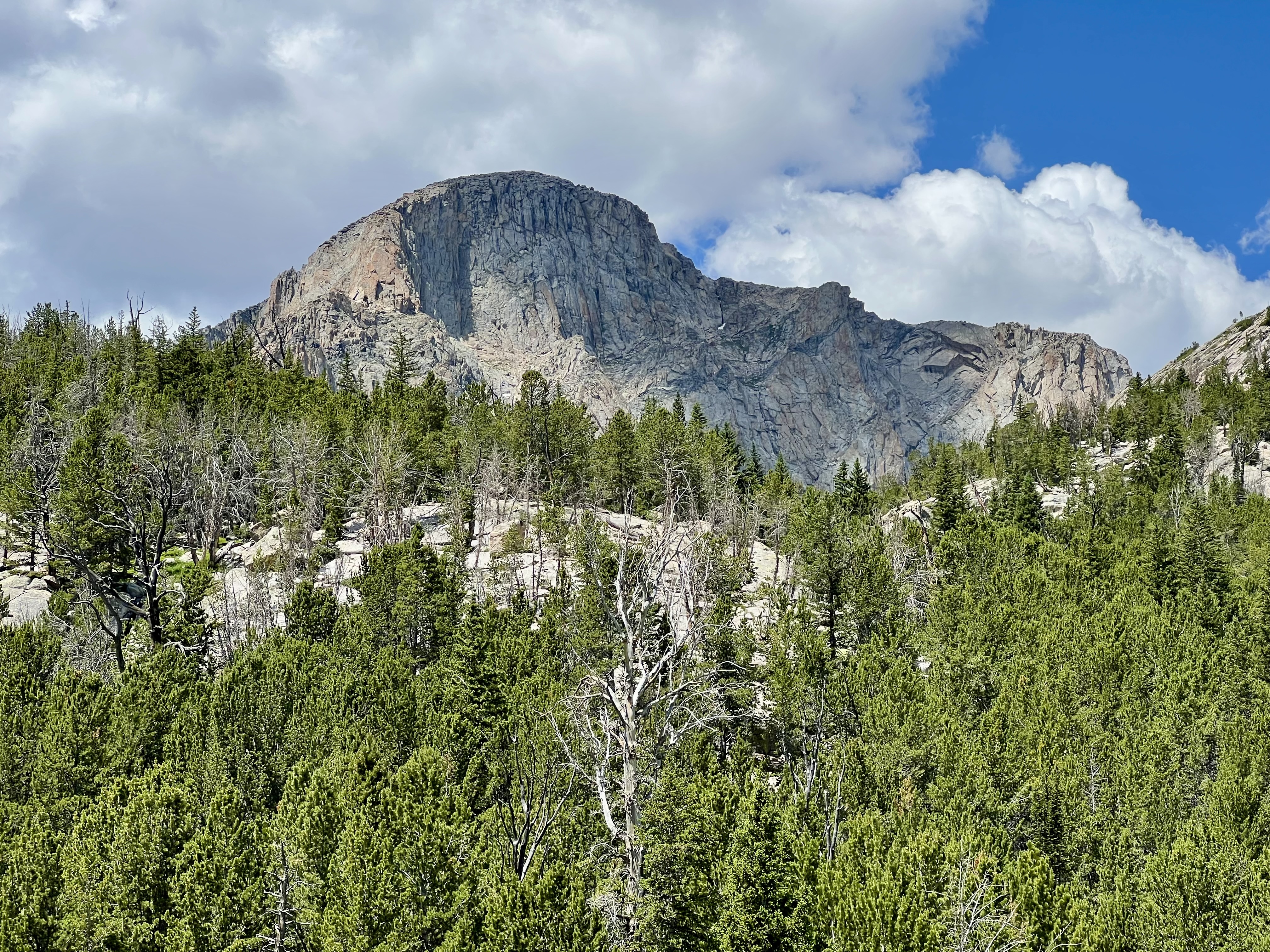 Wind River Wilderness — photograph 20 of 23