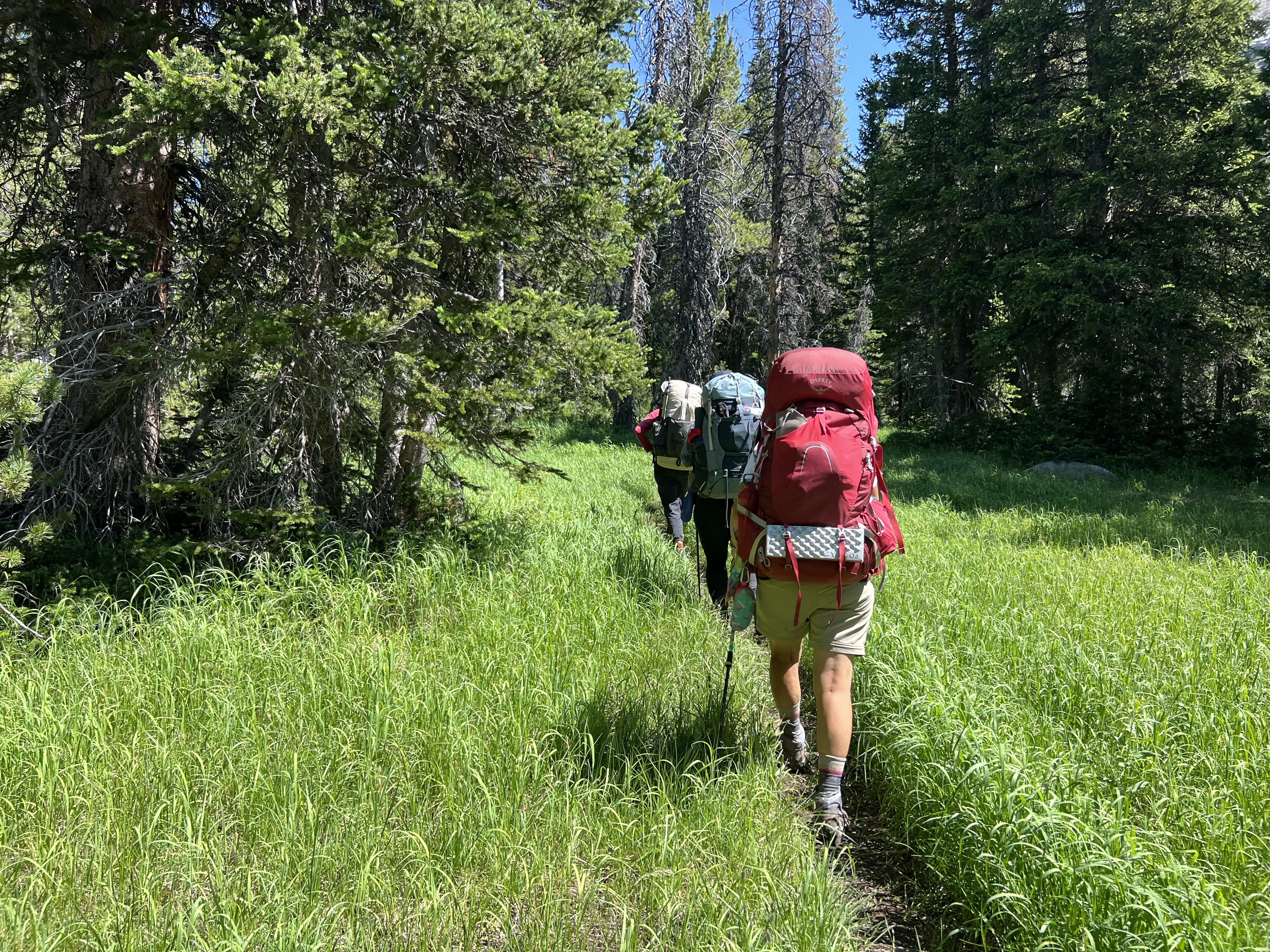 Wind River Wilderness — photograph 22 of 23