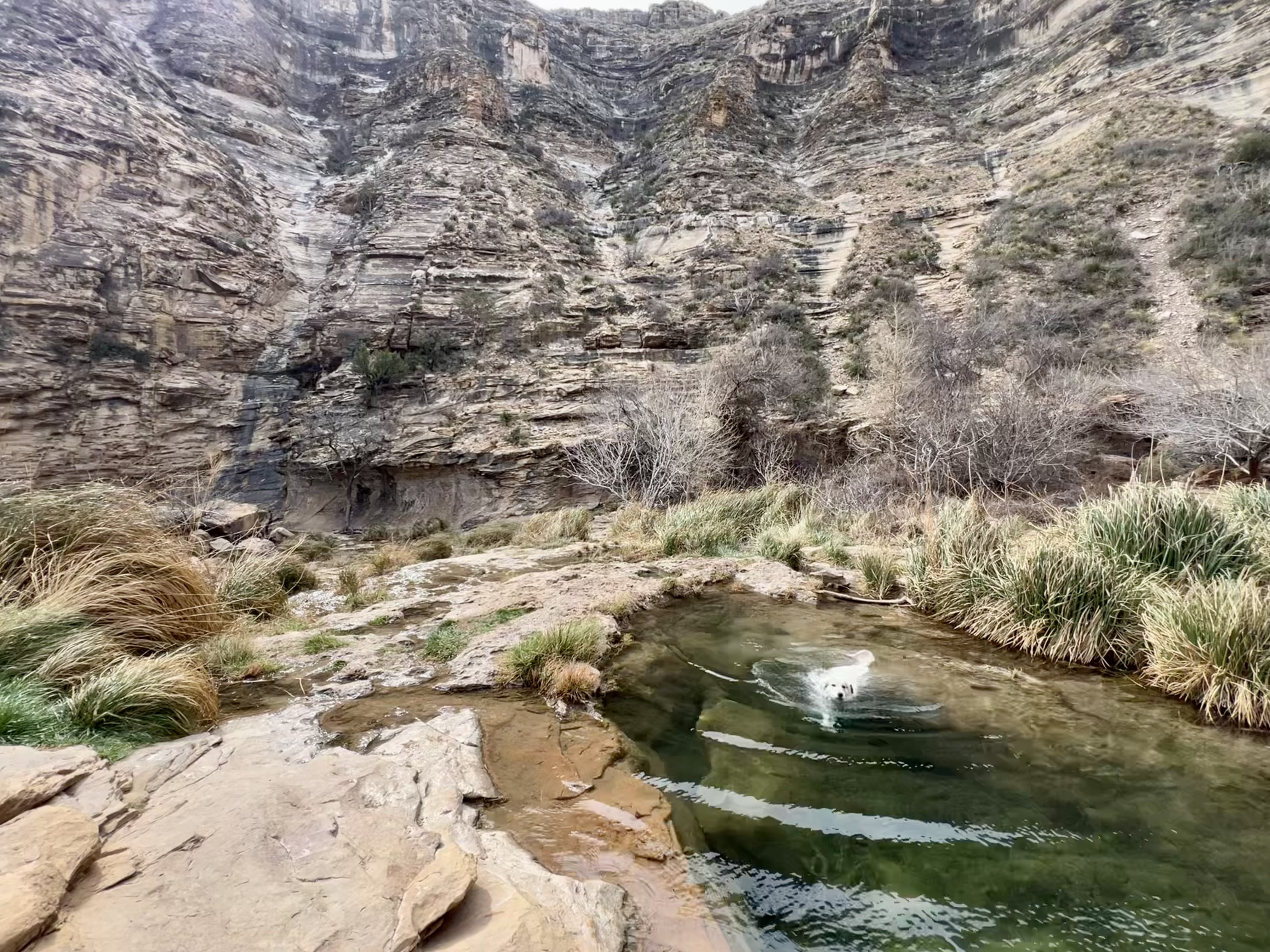 New Mexico — photograph 3
