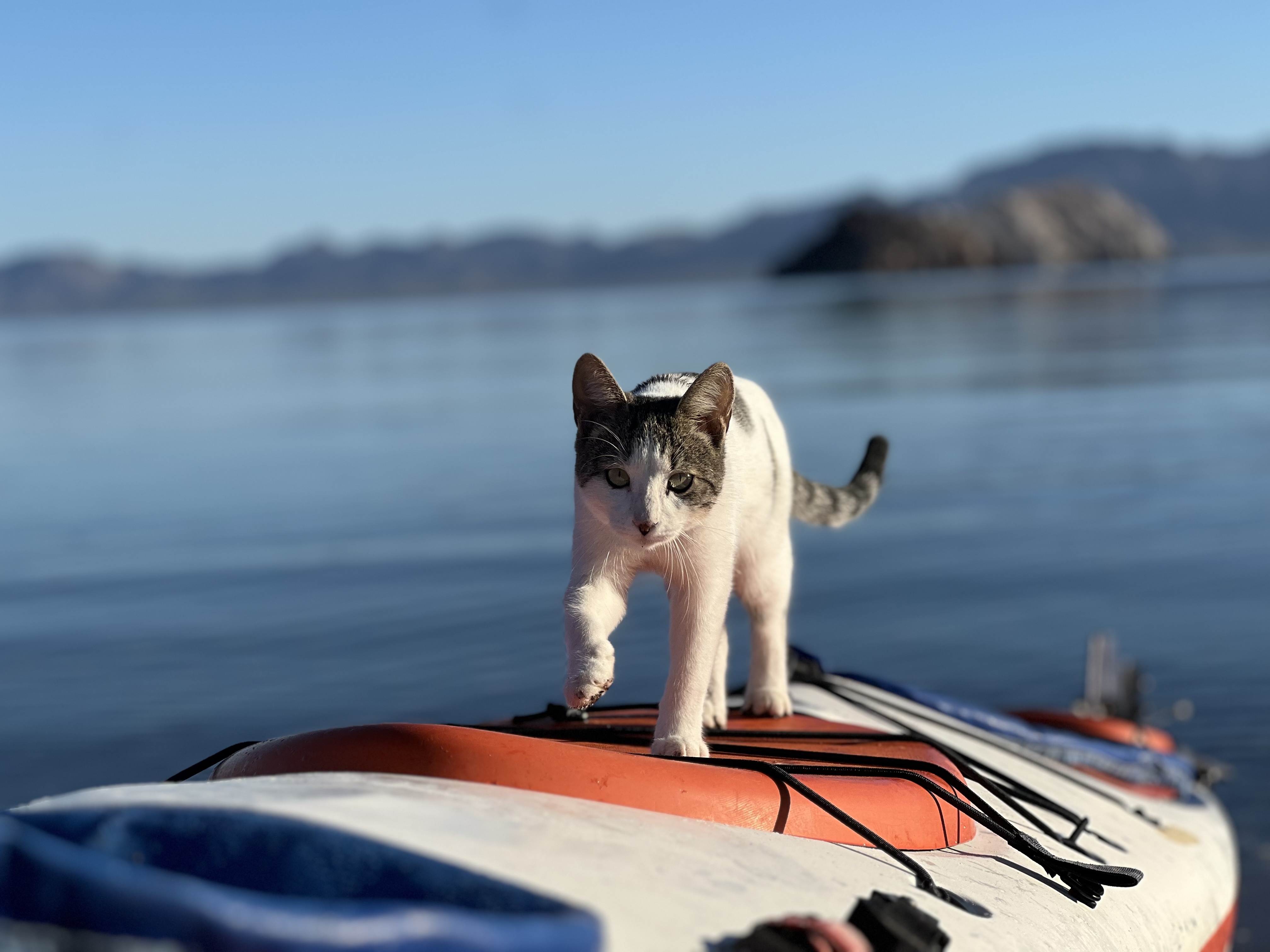 Baja California — photograph 3