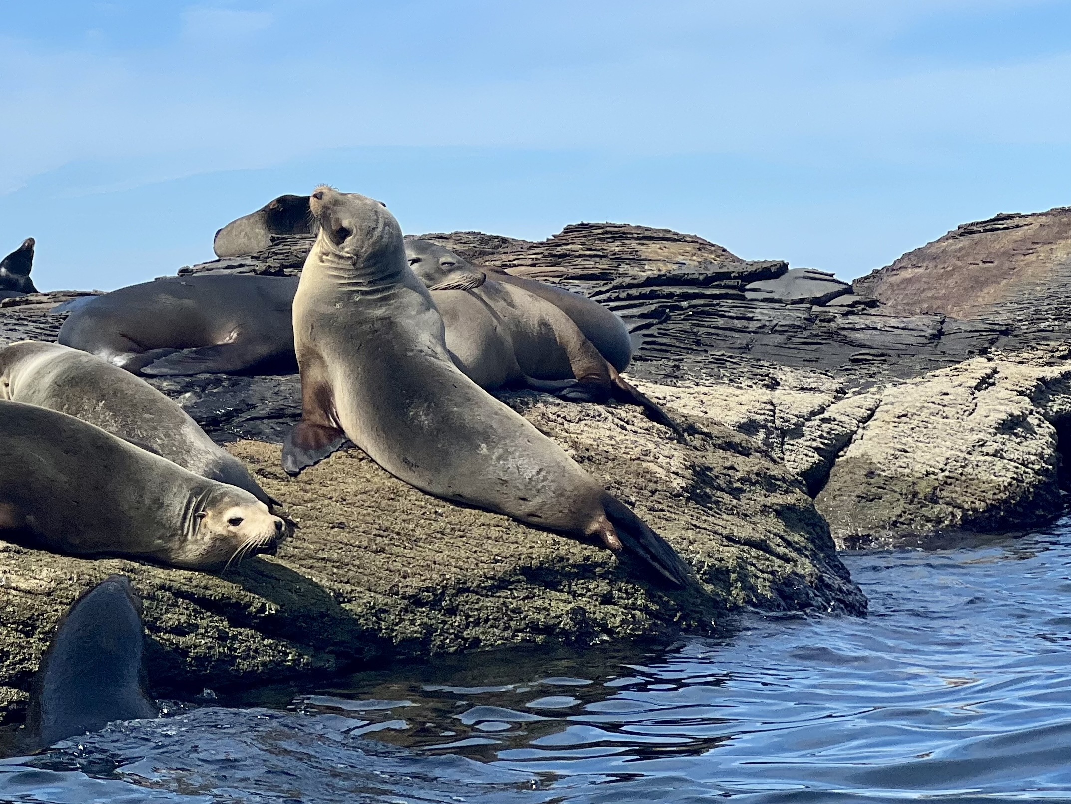 Baja California — photograph 4