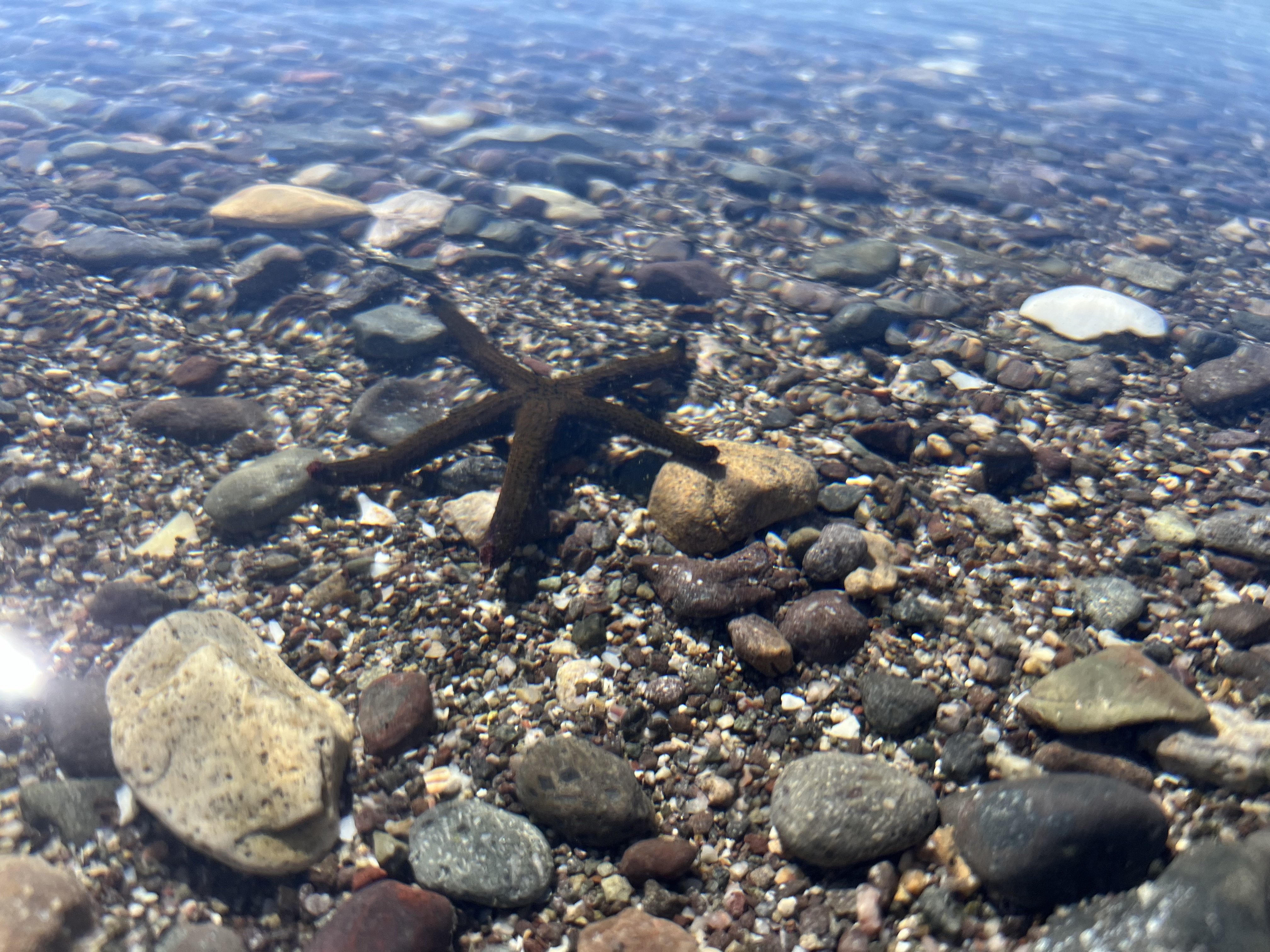 Baja California — photograph 10 of 19