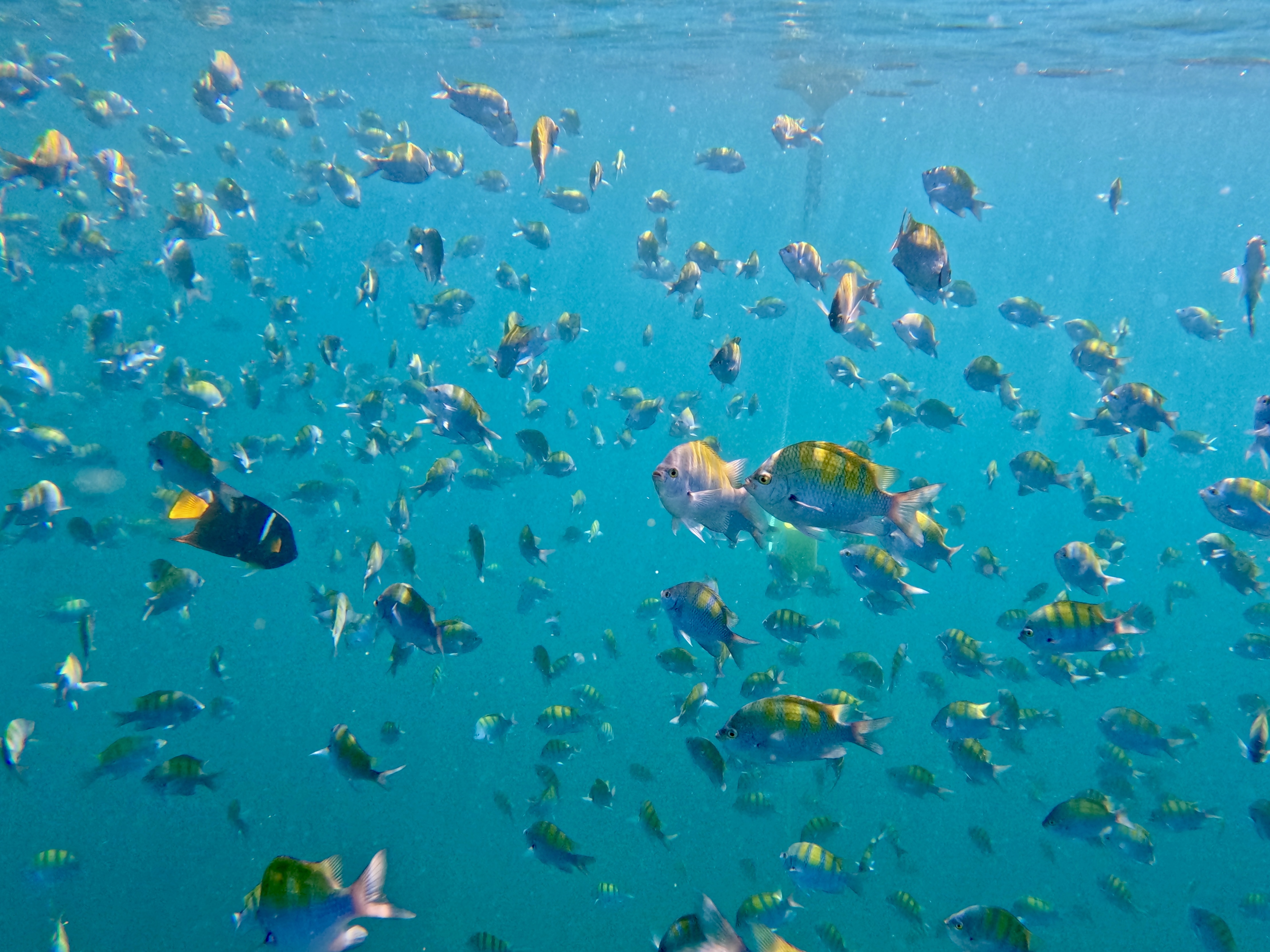 Baja California — photograph 13 of 19