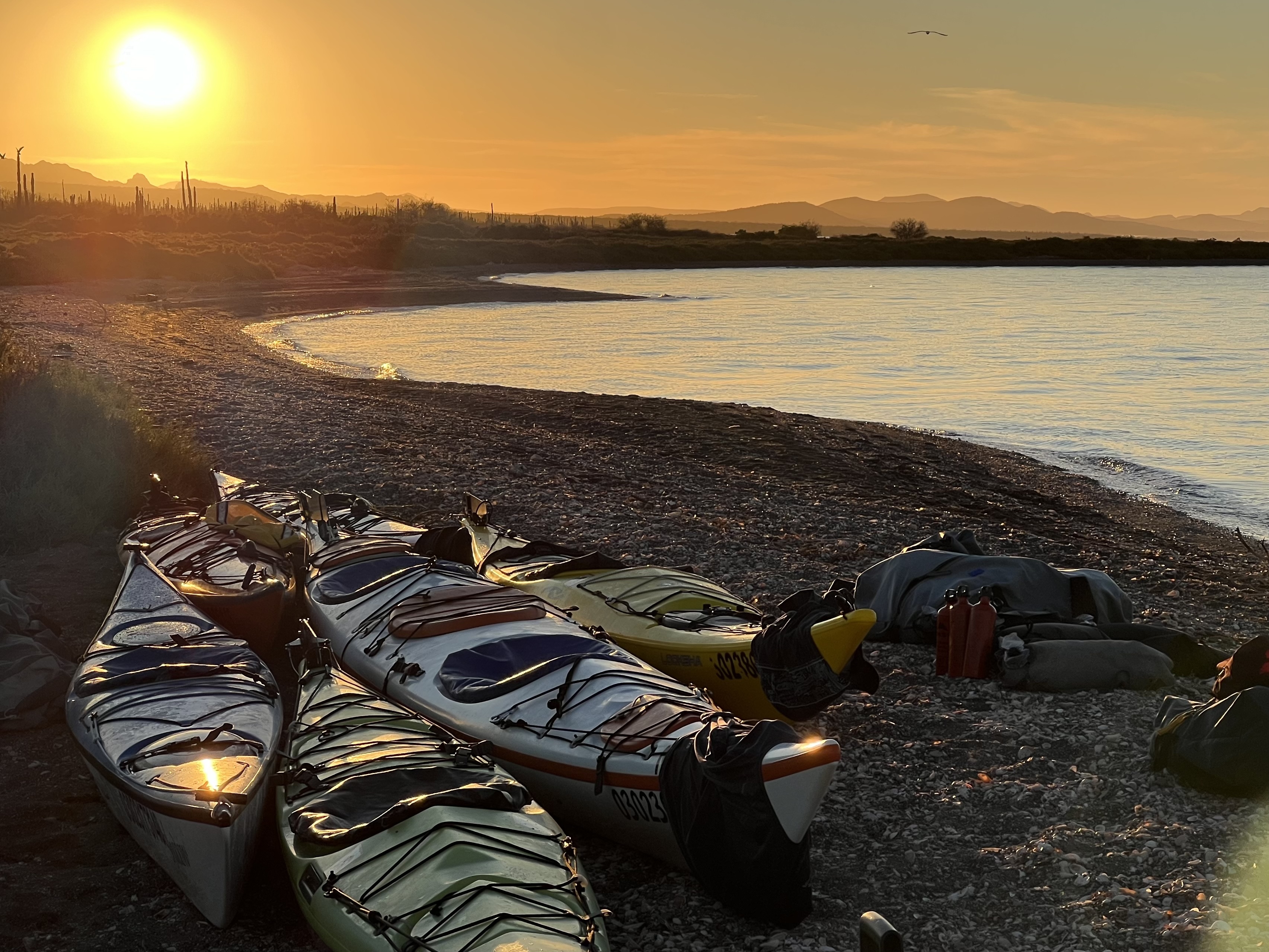 Baja California — photograph 12 of 19
