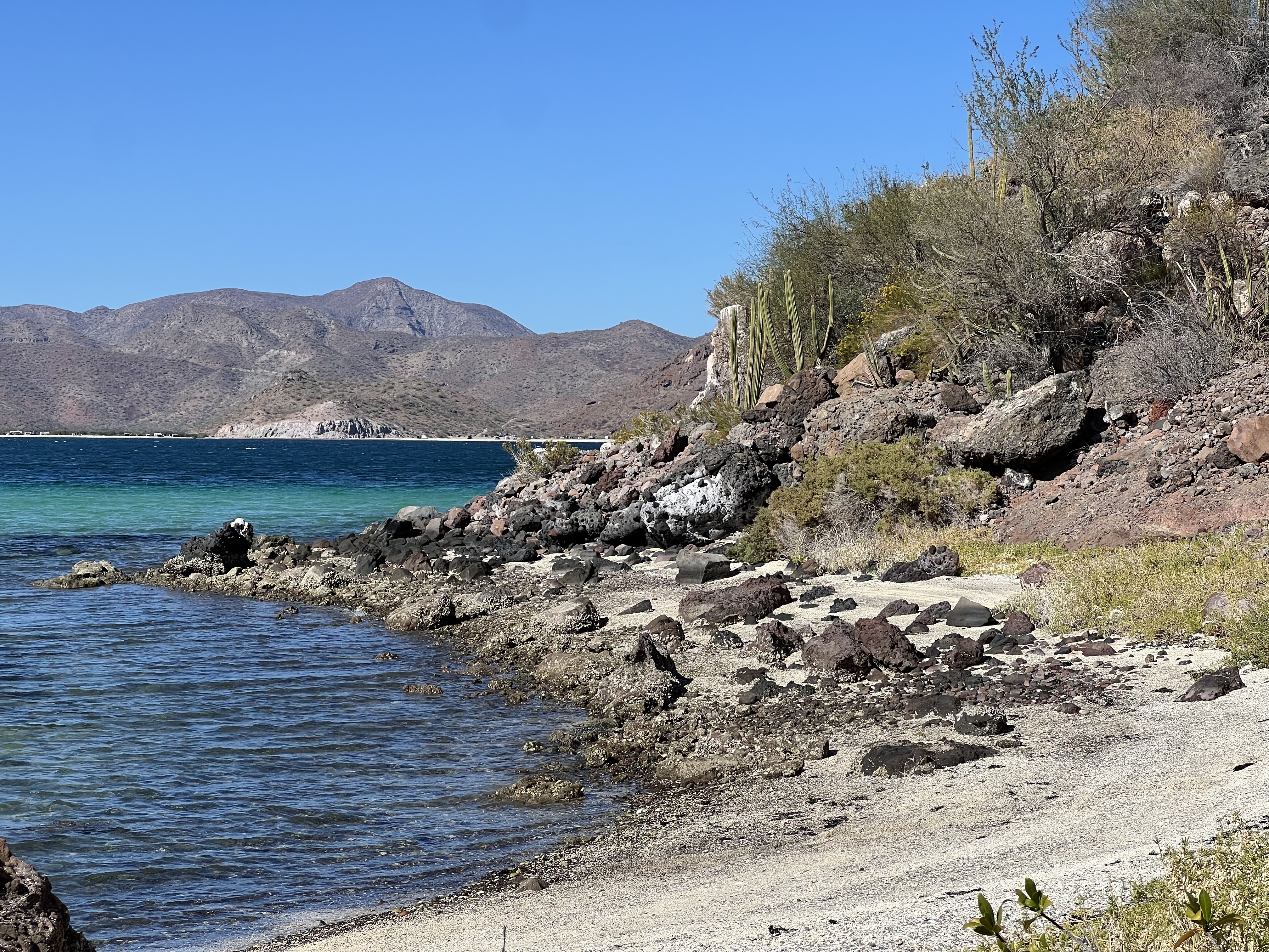 Baja California — photograph 18 of 19