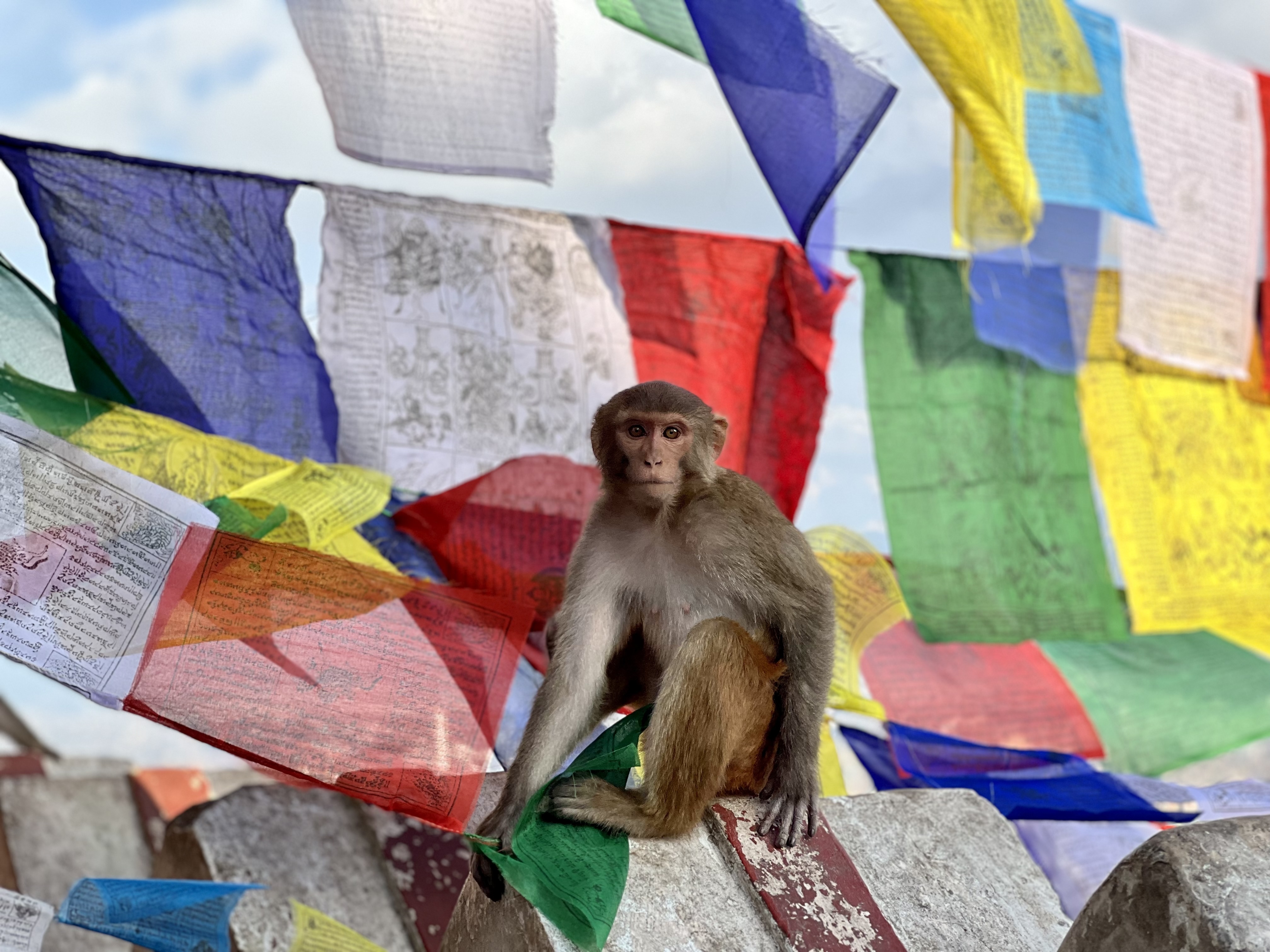 Nepal — photograph 4