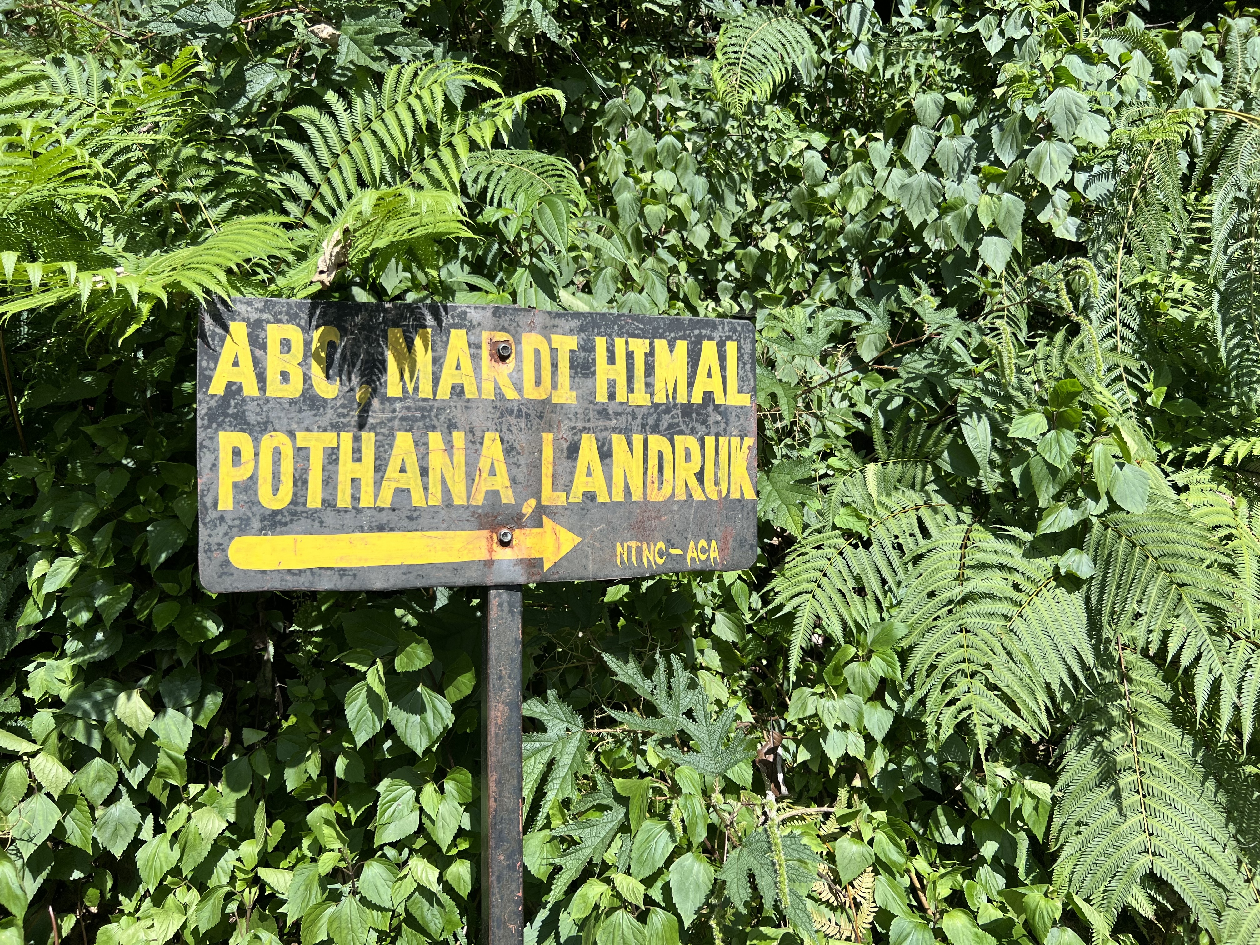 Nepal — photograph 13 of 14