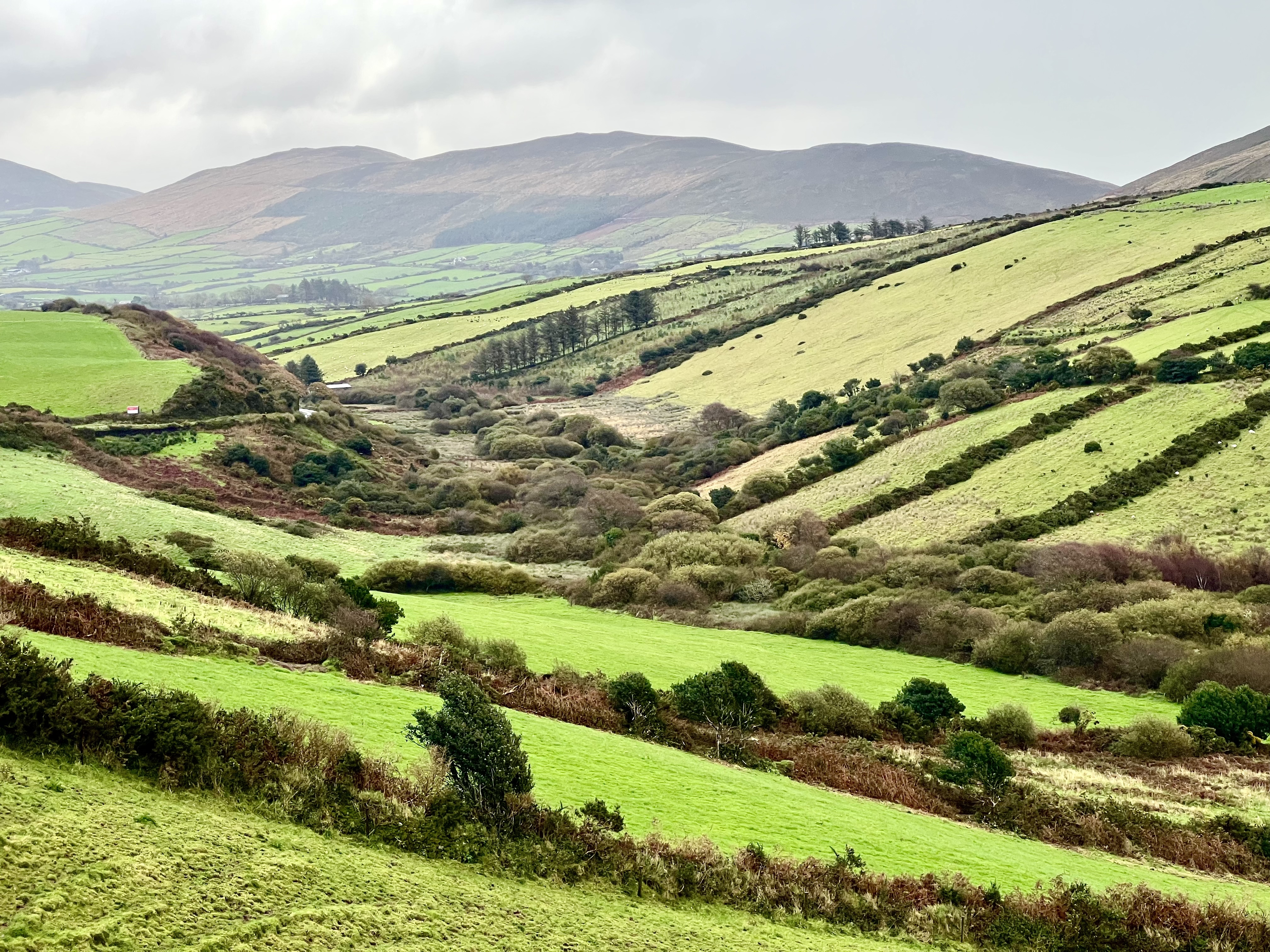 Ireland — photograph 6 of 8