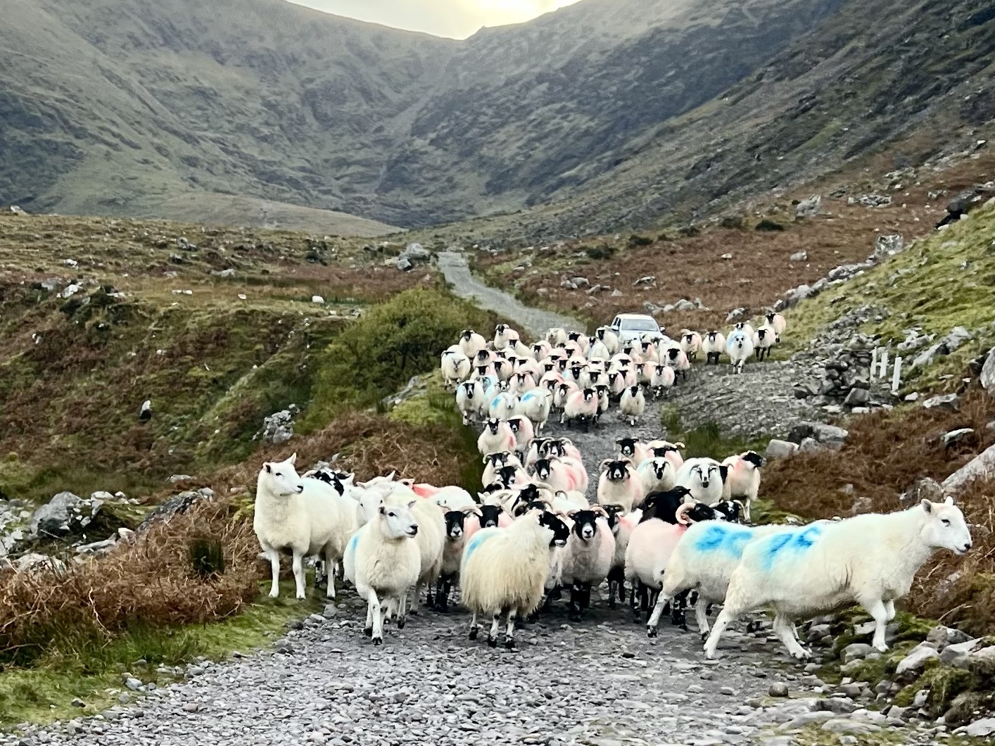 Ireland — photograph 8 of 8