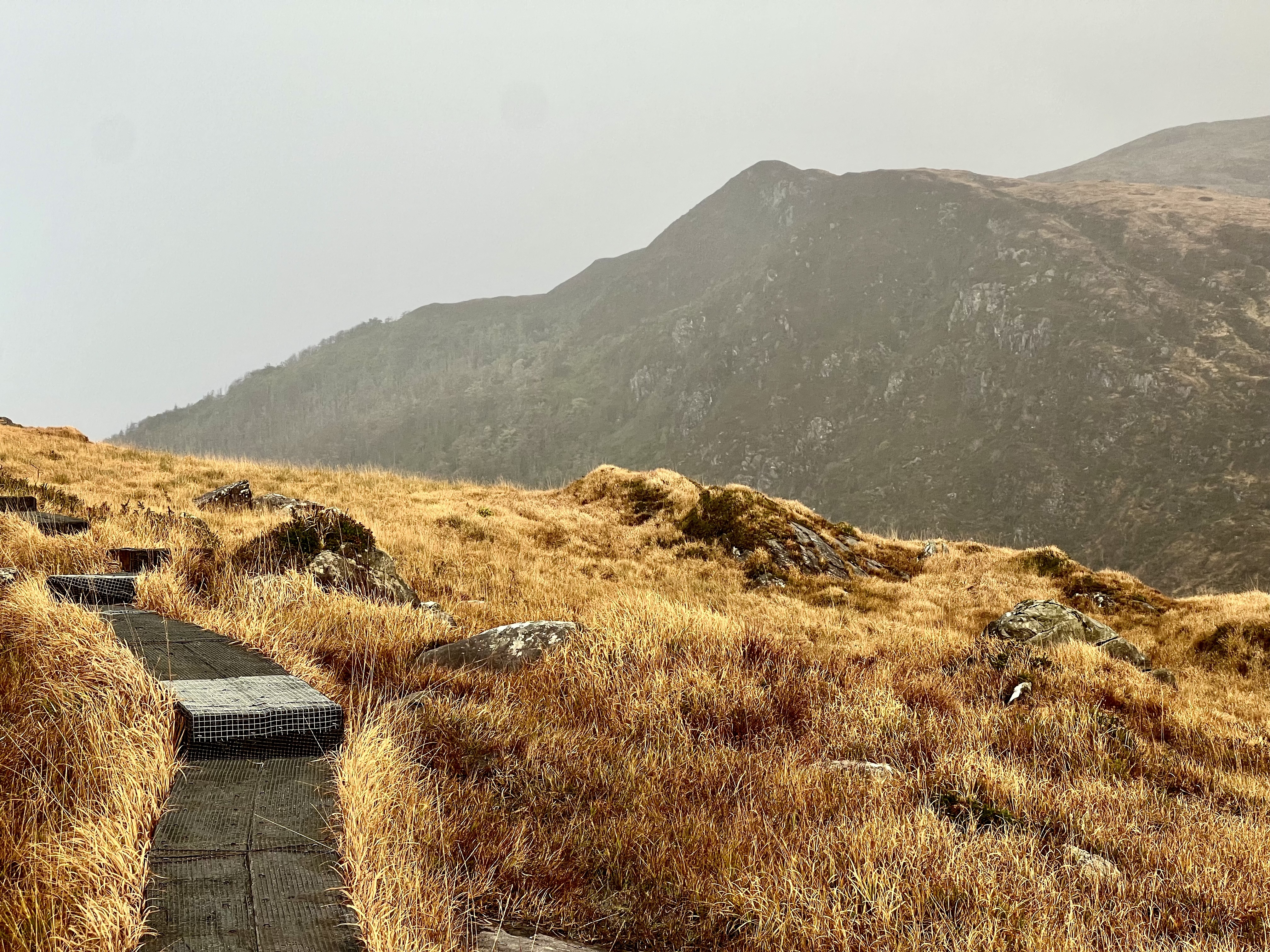 Ireland — photograph 3