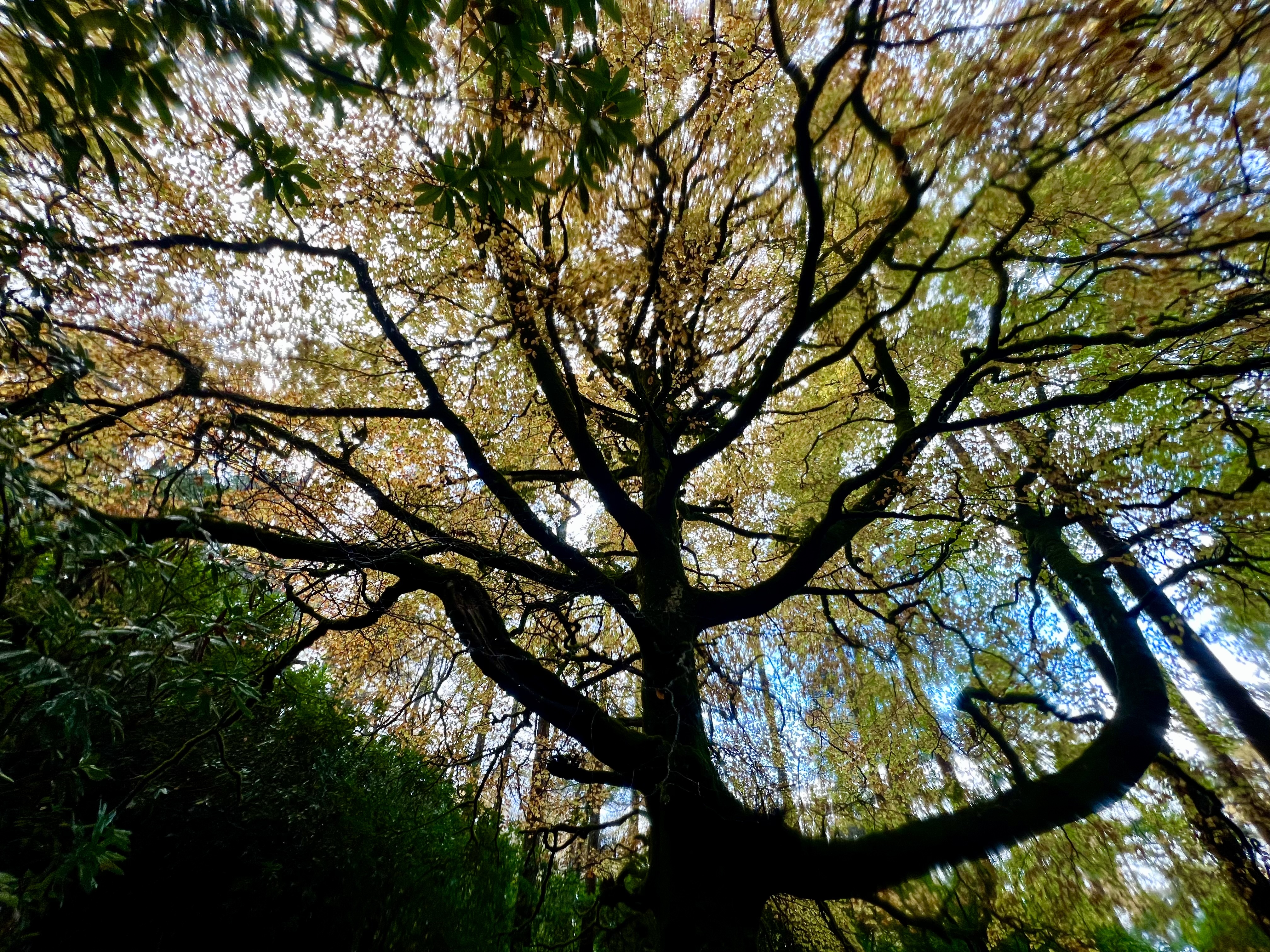 Ireland — photograph 2