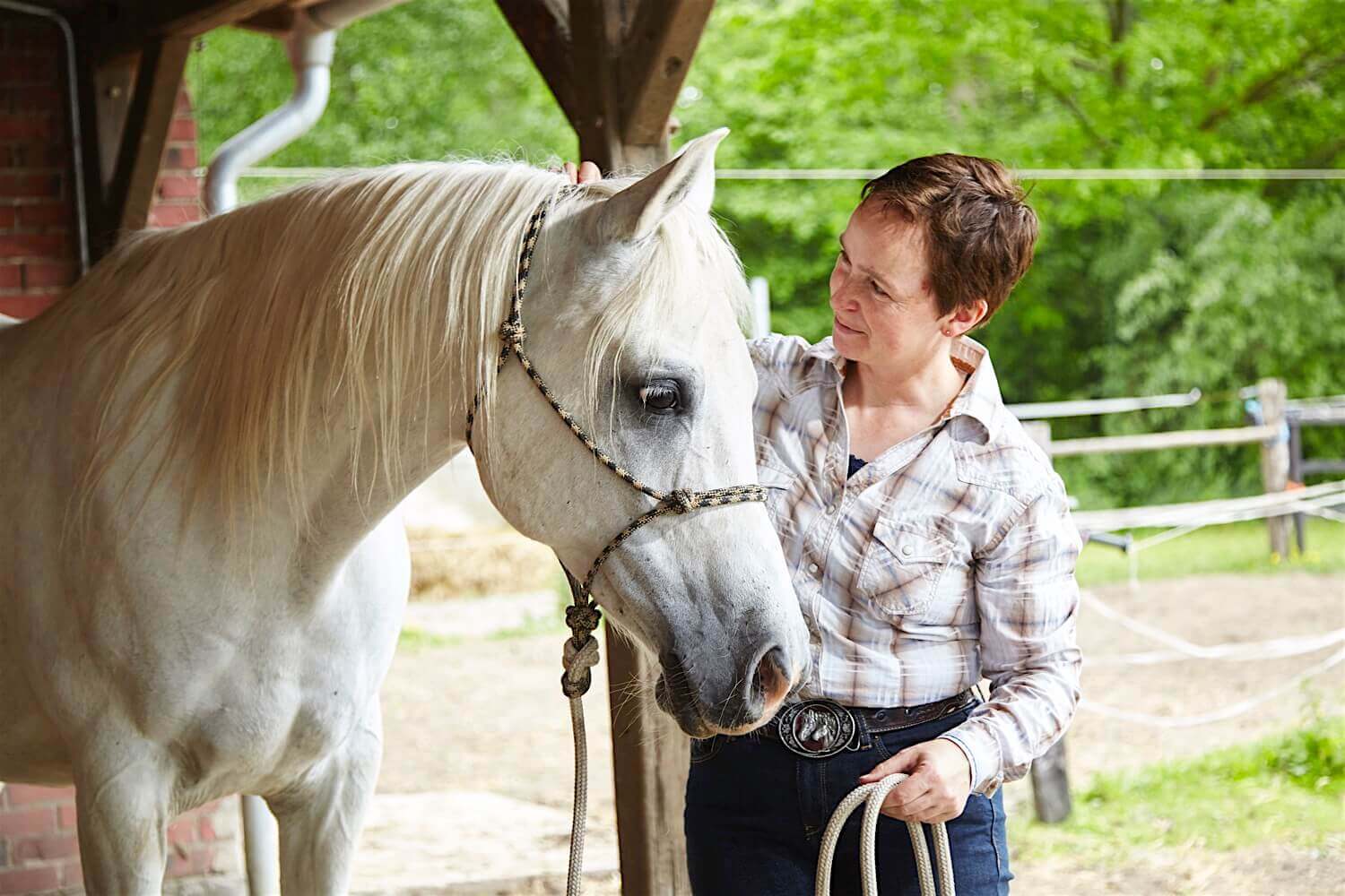 Rasmus Schübel Fotograf Münster Sabine Bühlmann Horsemanship Foto Video Marke authentisches Portrait Pferdetraining outdoor kompetent